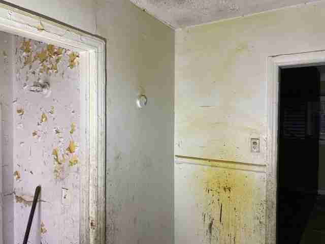 Testing again(23).jpg